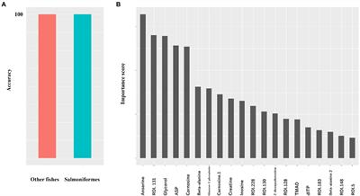 Identification of salmoniformes aquaculture conditions to increase creatine and anserine levels using multiomics dataset and nonnumerical information